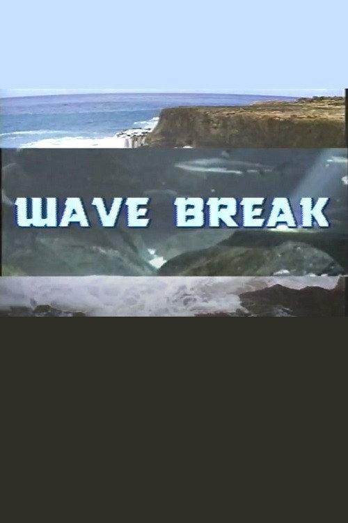 Wave Break 1991 official movie poster