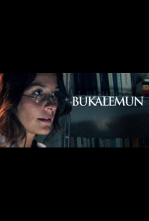 Bukalemun 2006 official movie poster