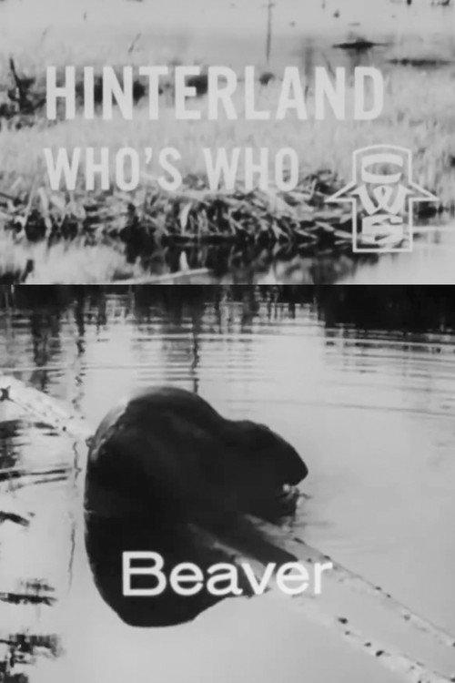 Hinterland Who's Who: Beaver 1963 official movie poster