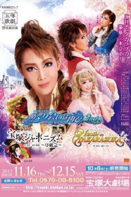 A Second Fortuitous Meeting 2nd ~Star Bride~ 2012 official movie poster