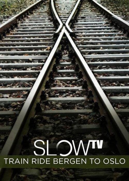 Slow TV: Train Ride Bergen to Oslo 2009 official movie poster