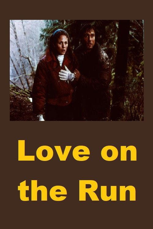 Love on the Run 1994 official movie poster