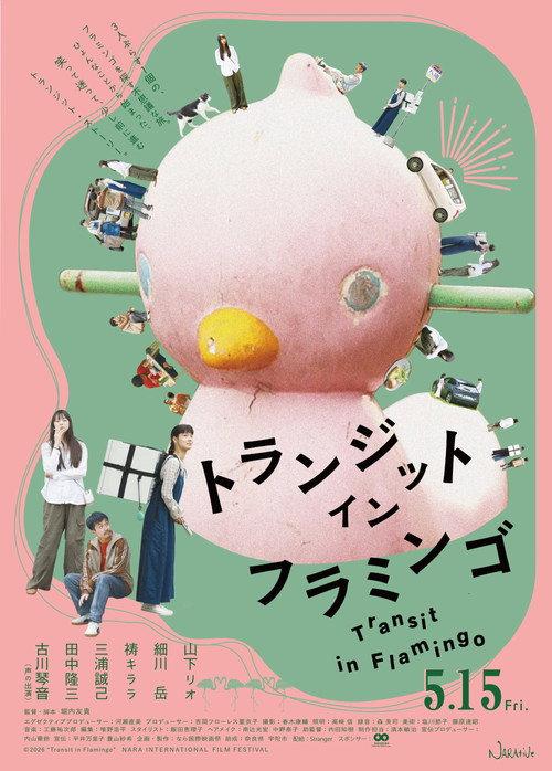 Transit in Flamingo 2026 official movie poster