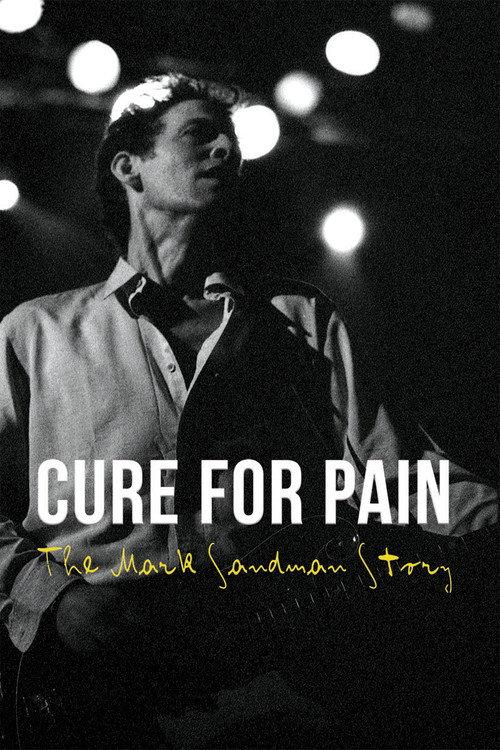 Cure for Pain: The Mark Sandman Story 2011 official movie poster