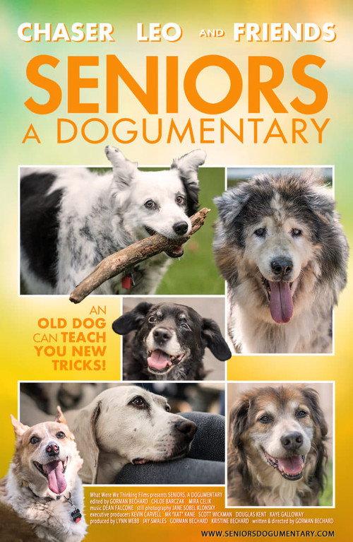 Seniors: A Dogumentary 2020 official movie poster