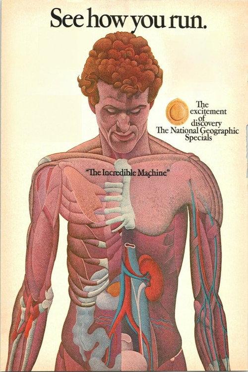 The Incredible Machine 1975 official movie poster