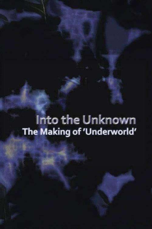Into the Unknown 2010 official movie poster