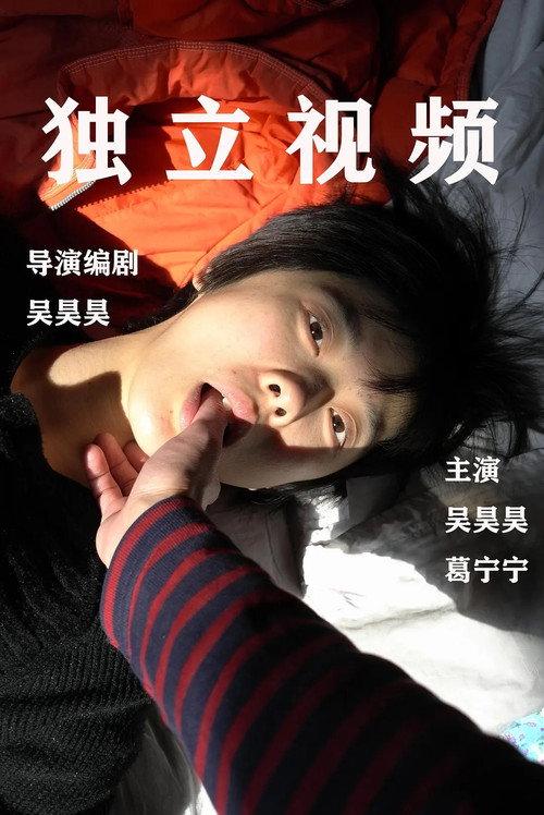 Independent Video 2016 official movie poster