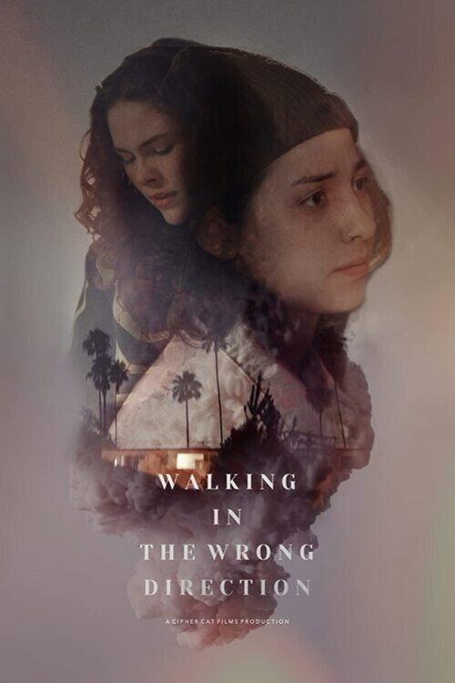 Walking in the Wrong Direction 2023 official movie poster
