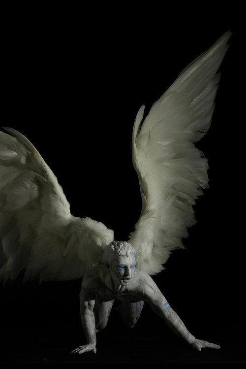 Plume 2011 official movie poster