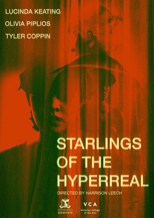 Starlings of the Hyperreal  official movie poster