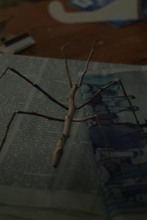 Walking Stick 2017 official movie poster