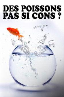 Des poissons, pas si cons ? 2022 official movie poster