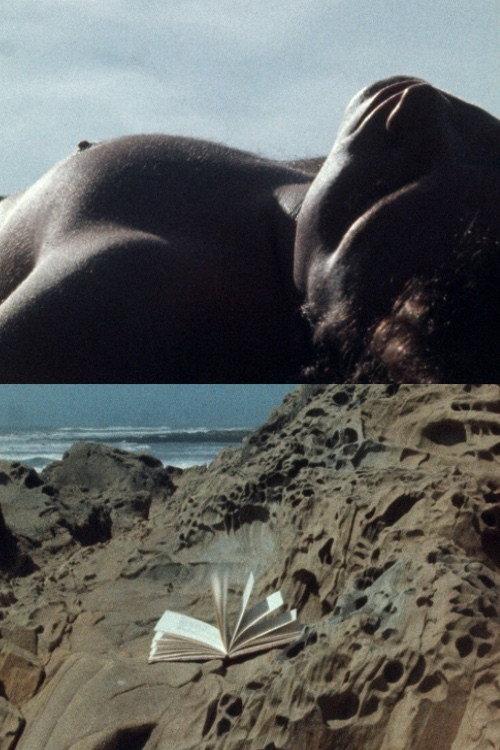 Seascape 1984 official movie poster