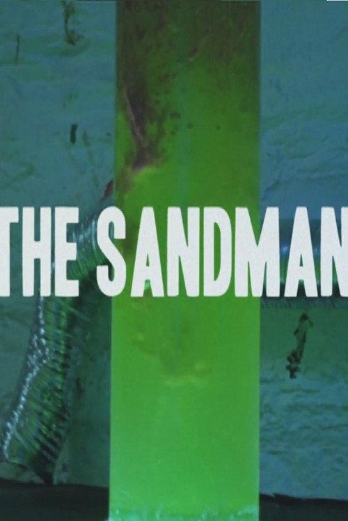 The Sandman 2014 official movie poster