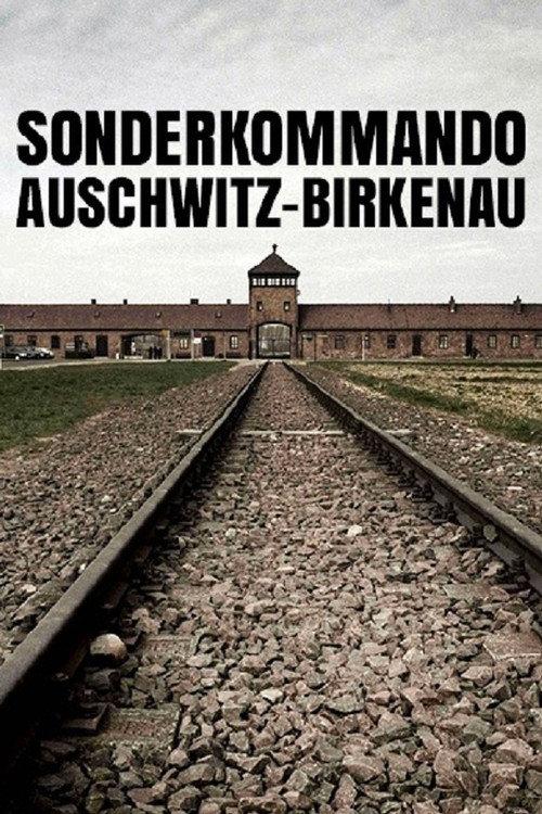 Sonderkommando Auschwitz-Birkenau 2008 official movie poster