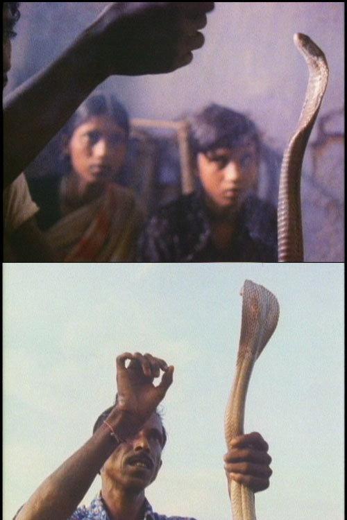 Serpent Mother 1985 official movie poster