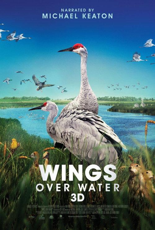 Wings Over Water 2022 official movie poster
