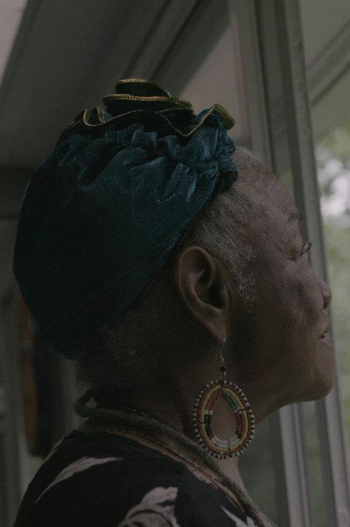 The Ancestors Came 2017 official movie poster