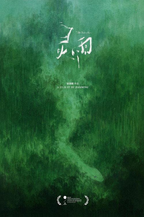 The Shedding Rain 2026 official movie poster