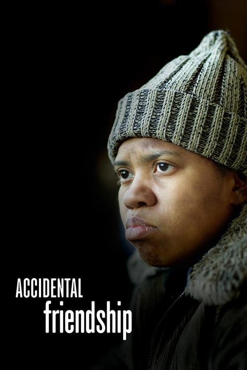 Accidental Friendship 2008 official movie poster