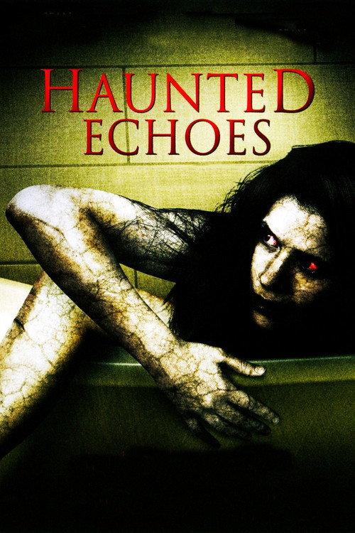 Haunted Echoes 2008 official movie poster