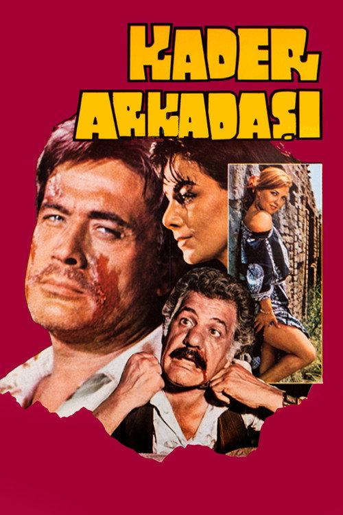 Kader Arkadaşı 1981 official movie poster