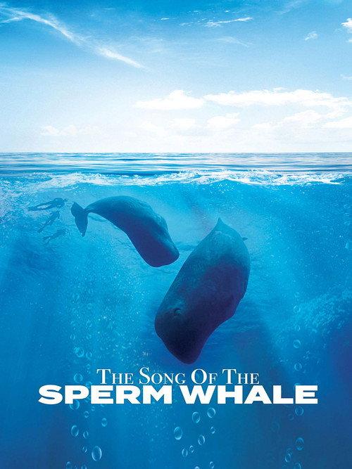 Song of the Sperm Whale 2017 official movie poster