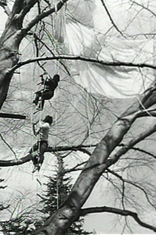 Tree Dance 1971 official movie poster