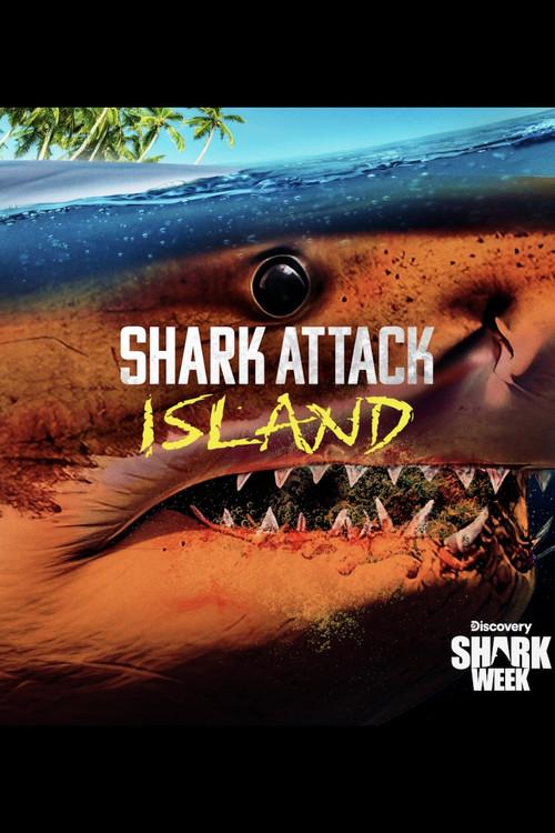 Shark Attack Island 2024 official movie poster