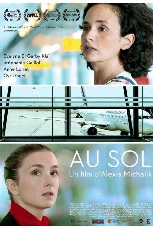 Grounded 2014 official movie poster
