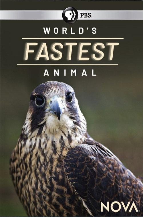 World's Fastest Animal 2018 official movie poster