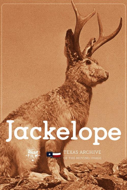 Jackelope 1976 official movie poster