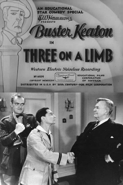 Three on a Limb 1936 official movie poster
