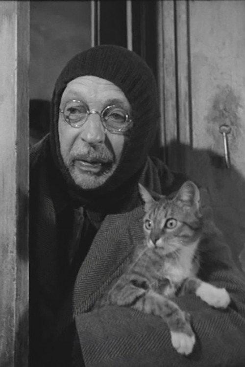L'Homme au chats 1969 official movie poster