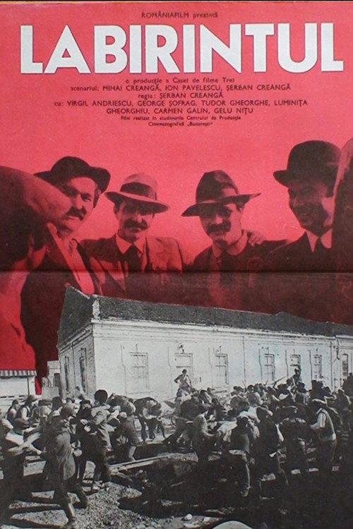 Labirintul official movie poster