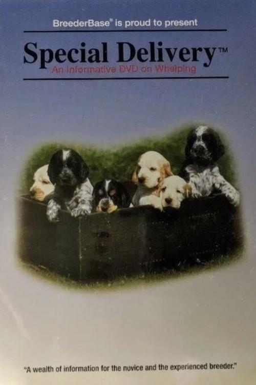 Special Delivery 1994 official movie poster