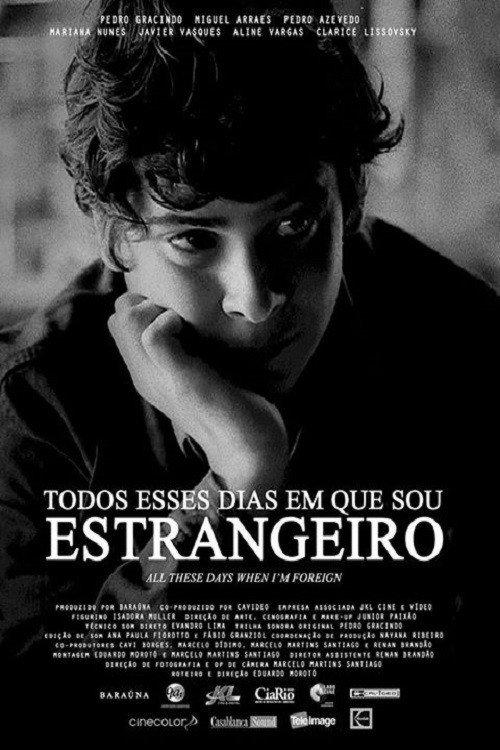All These Days When I'm Foreign 2013 official movie poster