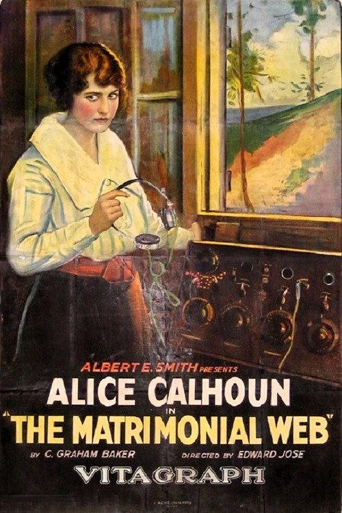 The Matrimonial Web 1921 official movie poster