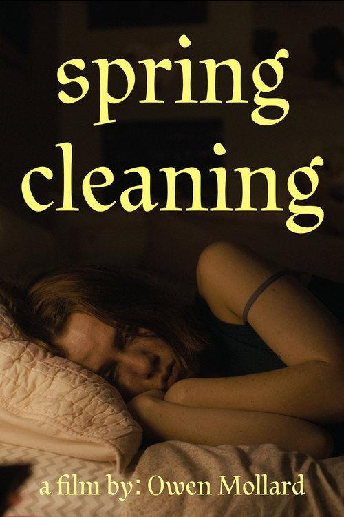 Spring Cleaning 2026 official movie poster