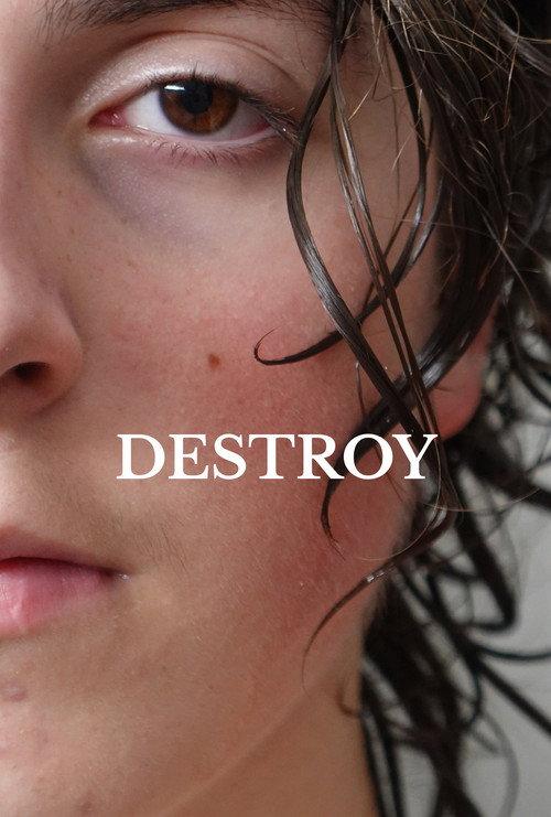 Destroy 2022 official movie poster