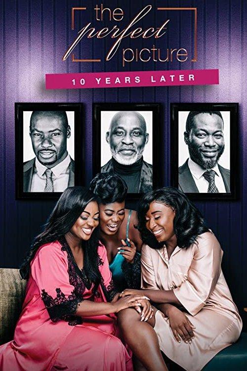 The Perfect Picture: Ten Years Later 2019 official movie poster