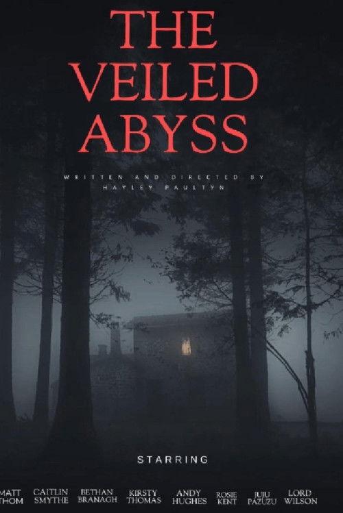 The Veiled Abyss 2024 official movie poster