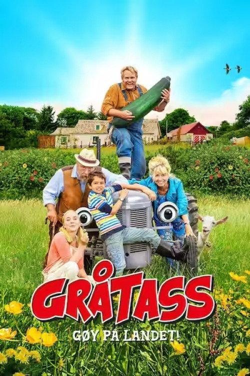 Little Grey Fergie: Country Fun! 2016 official movie poster