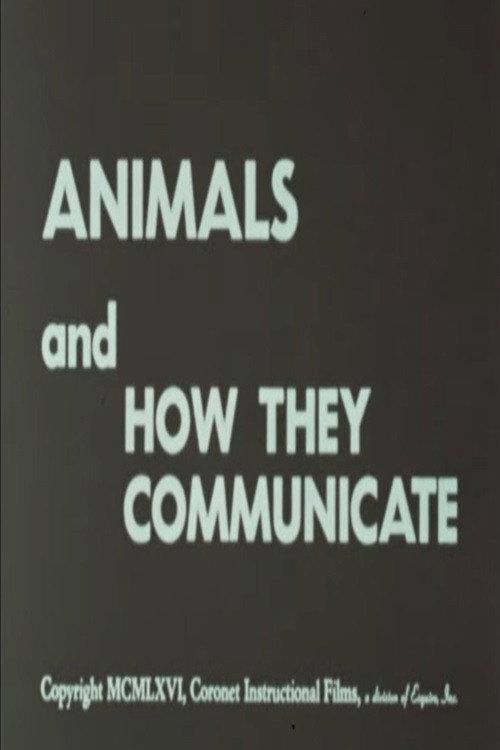 Animals and How They Communicate 1966 official movie poster