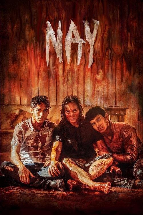 Nay 2017 official movie poster