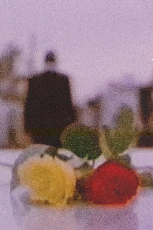 Rosas 1995 official movie poster