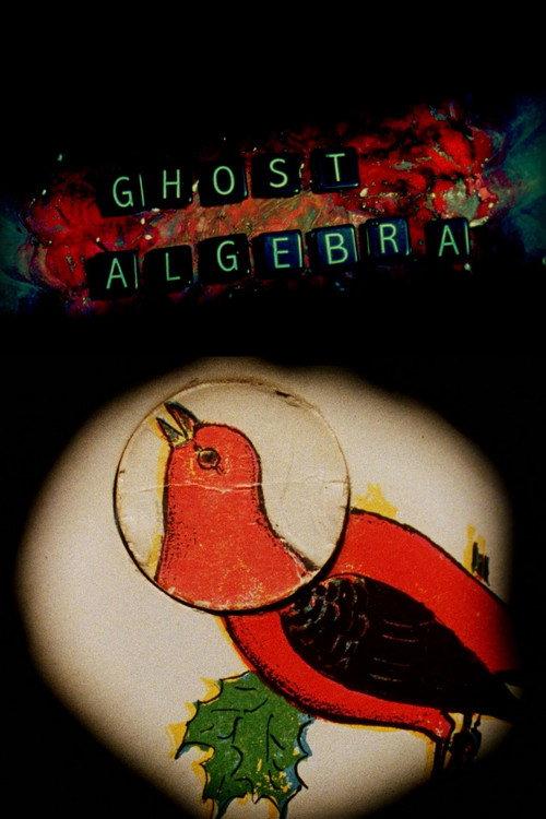 Ghost Algebra 2010 official movie poster