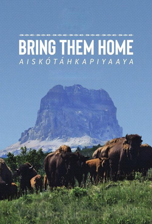 Bring Them Home 2024 official movie poster