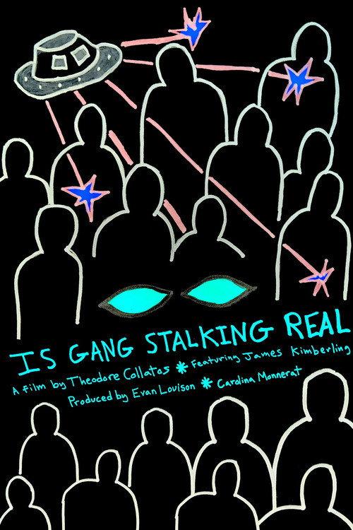 Is Gang Stalking Real 2026 official movie poster